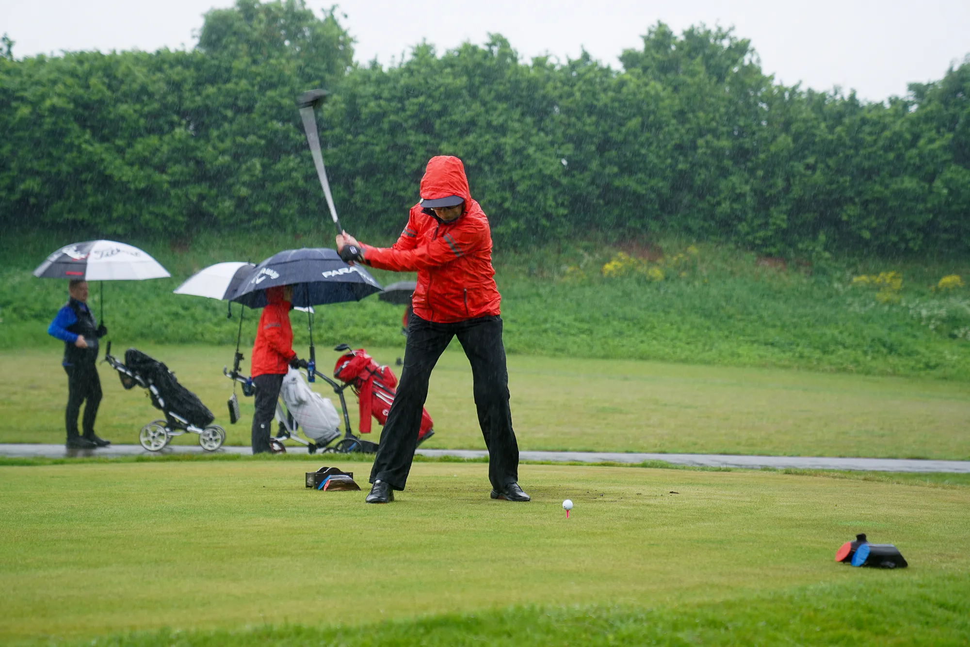 pardigolf_2026-34-2