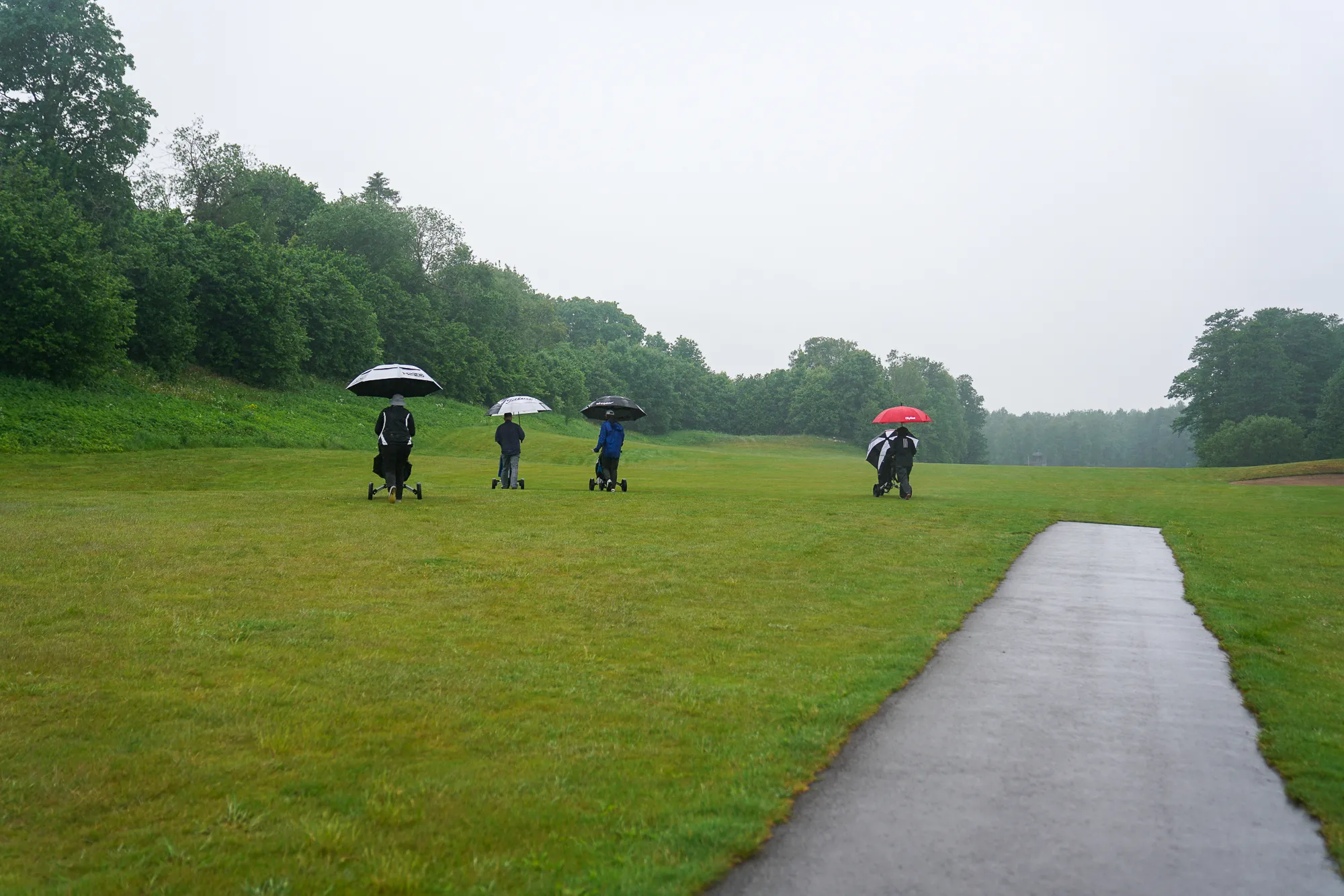 pardigolf_2026-39-2