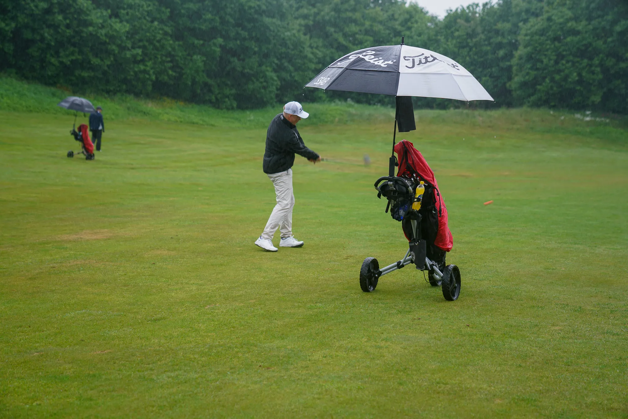 pardigolf_2026-41-2